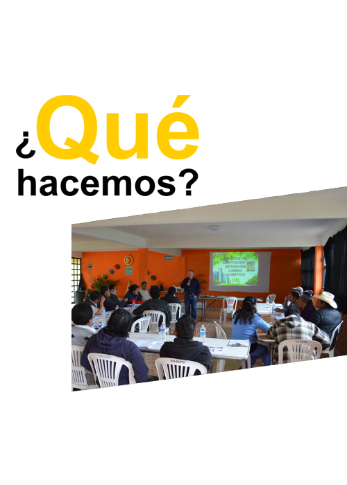 ¿Qué hacemos?